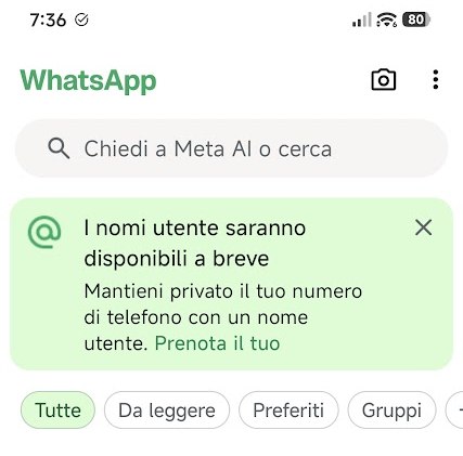 Nomi utente WhatsApp disponibili a breve