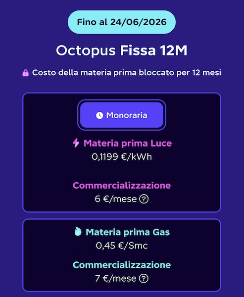 octopus fissa 12 mesi tariffe fino al 24 giugno