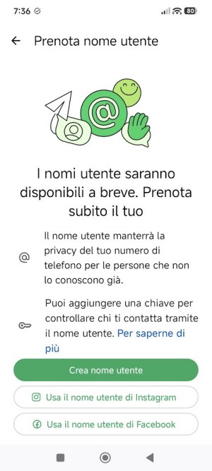 Prenotazione nome utente WhatsApp