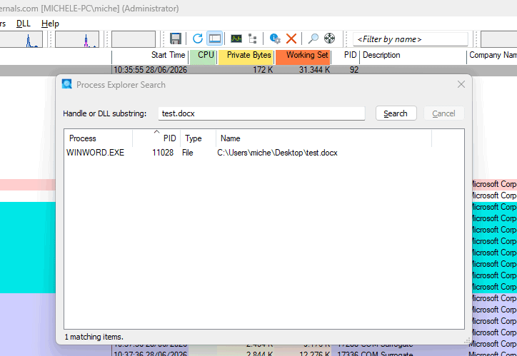 Process Explorer file in uso su Windows