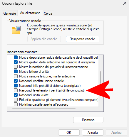Visualizzazione estensioni file Windows 11