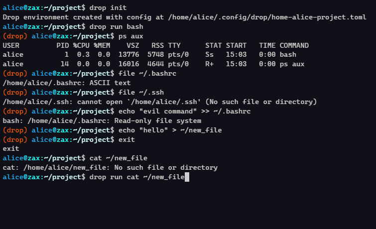 Drop isolamento sandbox Linux