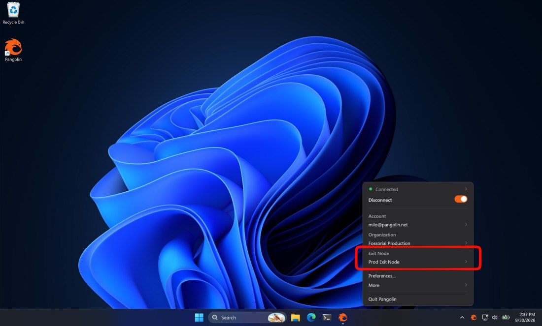 Selezione Exit Node Windows Pangolin VPN
