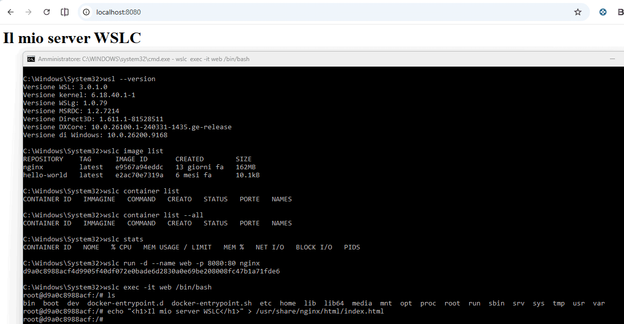 Server WSLC Windows con nginx
