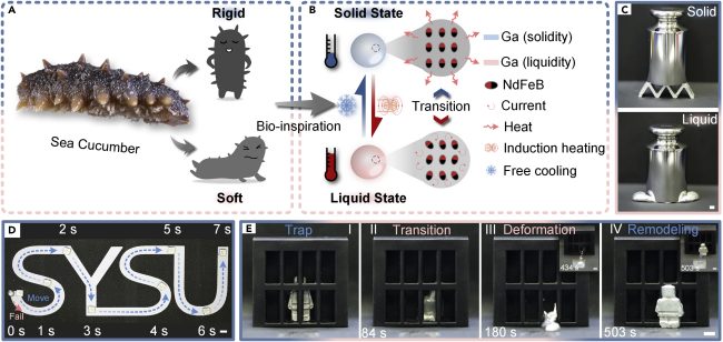 Robot che passano dallo stato solido allo stato liquido e viceversa potrebbero diventare realtà
