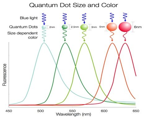 QLED vs OLED: chi la spunta