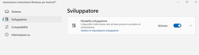 Guida per avere Google Play Store su Windows 11