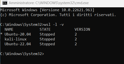 Linux in Windows: come, quando e perché utilizzarlo