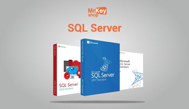 Acquistare Microsoft Windows Server: rivenditori affidabili