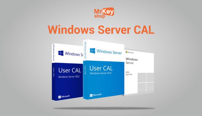 Acquistare Microsoft Windows Server: rivenditori affidabili