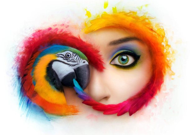 Adobe invita gli utenti di Creative Cloud ad aggiornare: rischi di contestazioni legali