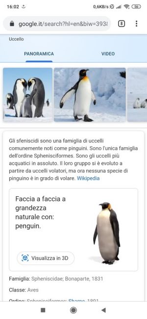 Animali 3D Google: realtà aumentata direttamente dal browser web