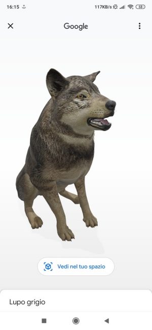 Animali 3D Google: realtà aumentata direttamente dal browser web