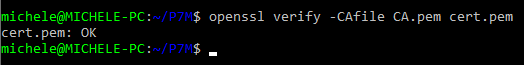 Come aprire file P7M in modo semplice