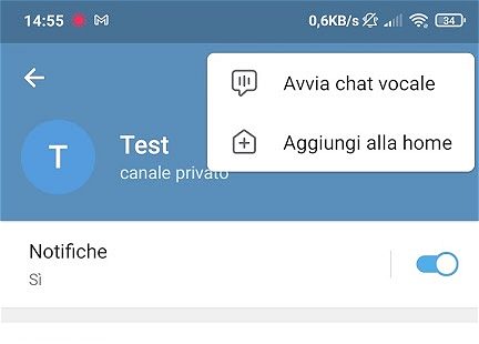 Telegram lancia le chat vocali senza limiti su canali e gruppi pubblici