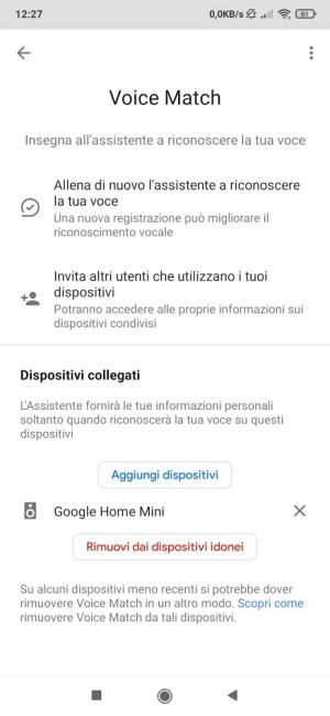 Come chiamare i dispositivi Google Home con Google Duo