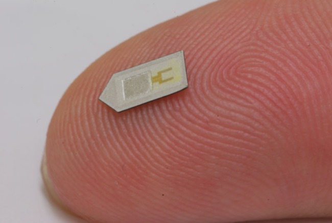 Chip in silicio impiantato nel cervello diventa realtà