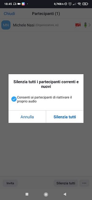 Come funziona Zoom: gli aspetti principali