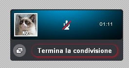 Come condividere schermo in Skype