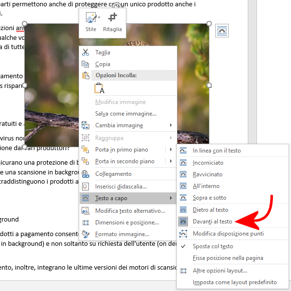 Come posizionare le immagini in documento Word senza limitazioni