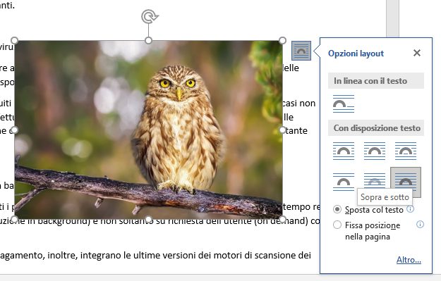 Come posizionare le immagini in documento Word senza limitazioni