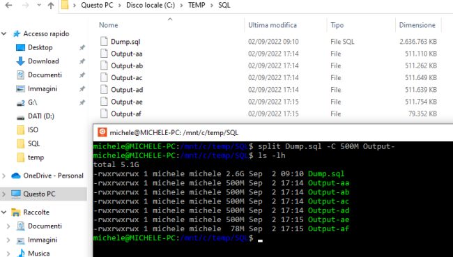 Come aprire file di grandi dimensioni con Linux e Windows