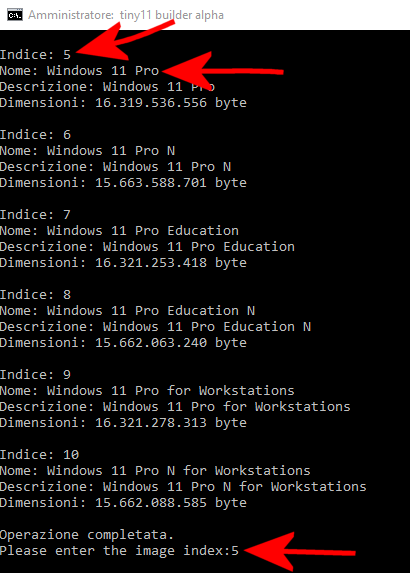 Windows 11, versione leggera che funziona con 2 GB di RAM