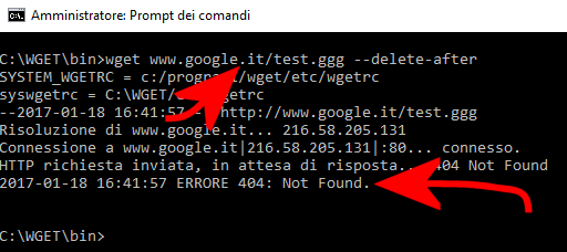 Errore 404 e 500, come vedere una pagina che non si apre