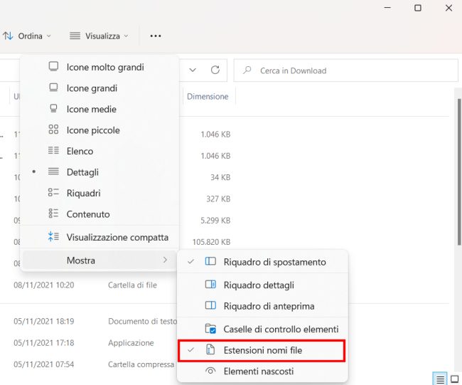 Esplora file: una guida ai segreti dell'interfaccia di Windows