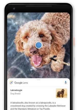 Google Lens, cos'è e come funziona