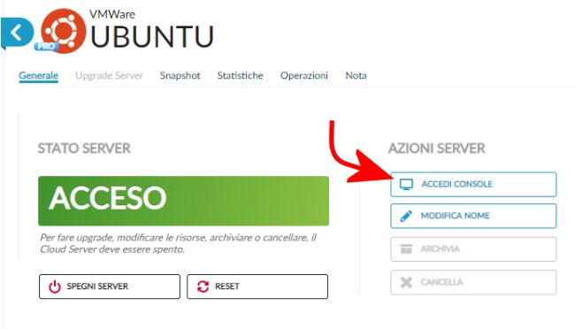 Allestire un'infrastruttura virtuale sul cloud: server virtuali, virtual switch, bilanciatori e unified storage