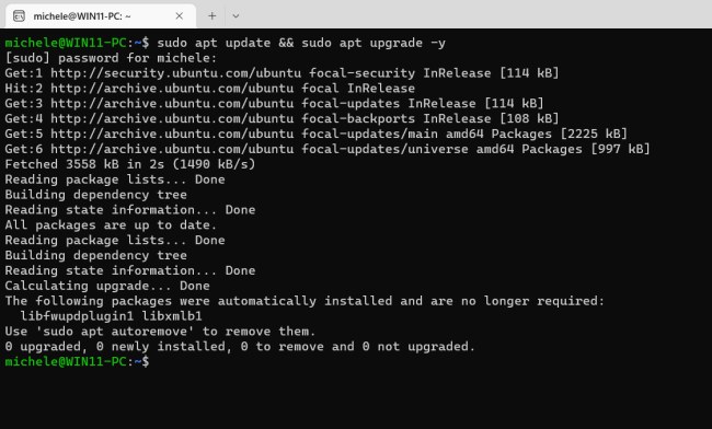 Inviare email con Python e WSL dalla finestra terminale di Windows