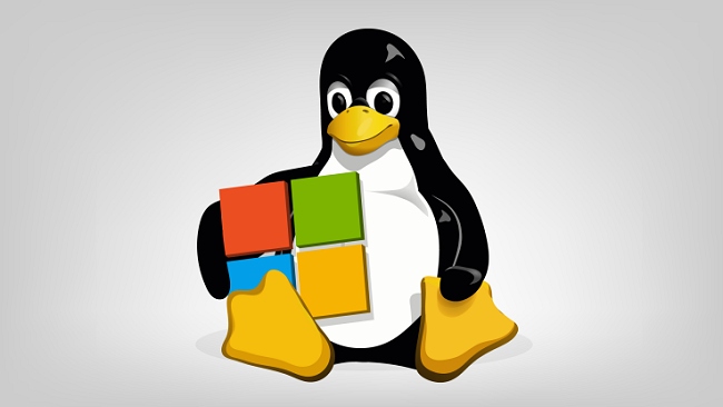 Microsoft entra nella Linux Foundation, giornata storica