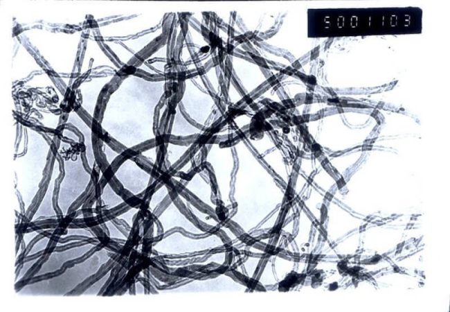 Processori basati su nanotubi di carbonio: realtà tra pochi anni