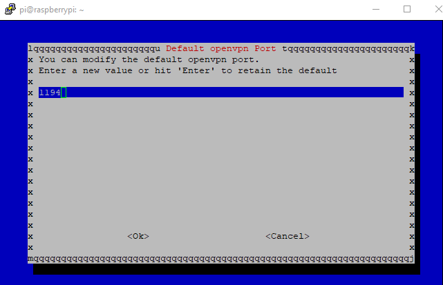OpenVPN server su Raspberry Pi: come configurarlo