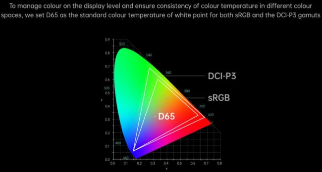 Oppo Find X3, supporto 10 bit e spazio colore DCI-P3 dall'acquisizione dell'immagine alla visualizzazione