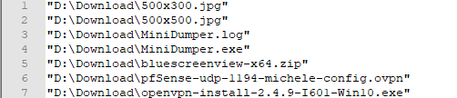 Ottenere la lista dei file contenuti in una cartella usando solo l'interfaccia di Windows 10