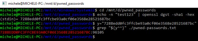 Password violate o insicure: come verificare le proprie