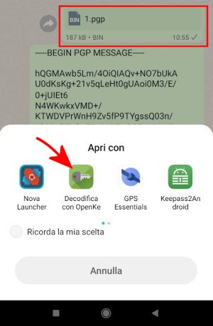 Inviare documenti importanti su WhatsApp e Telegram con OpenKeychain