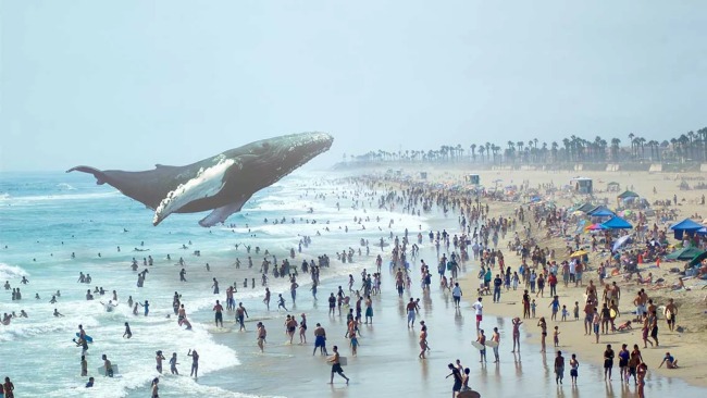 Magic Leap con LucasFilm per la realtà aumentata