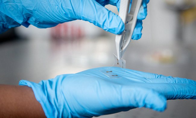 Presentato uno schermo flessibile ultrasottile stampabile come un foglio di carta