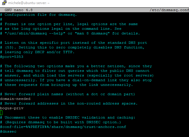 Server DNS: come crearlo nella propria rete locale