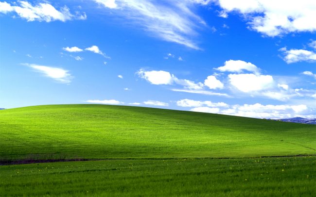 Windows XP compie 20 anni: come si presentava e quali novità introdusse
