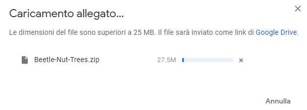 Si è verificato un problema con l'anteprima: condivisione di file compressi con Google Drive