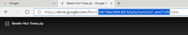 Si è verificato un problema con l'anteprima: condivisione di file compressi con Google Drive