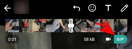 Stati WhatsApp: cosa sono e come funzionano