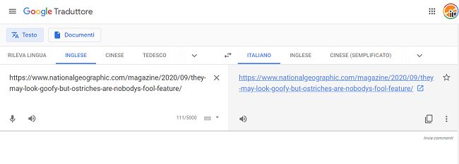 Traduttore Google: caratteristiche e funzionalità meno conosciute