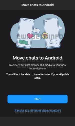 Trasferire chat WhatsApp su un nuovo numero non sarà un problema