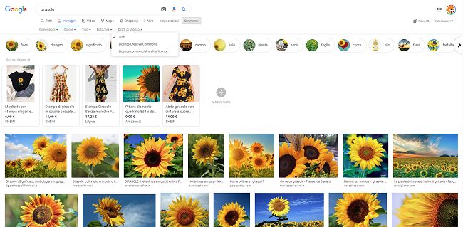 Trovare immagini utilizzabili nei propri progetti con Google