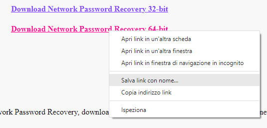 Come trovare password in Windows